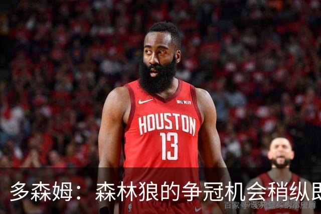 多森姆：森林狼的争冠机会稍纵即逝，必须把握当下